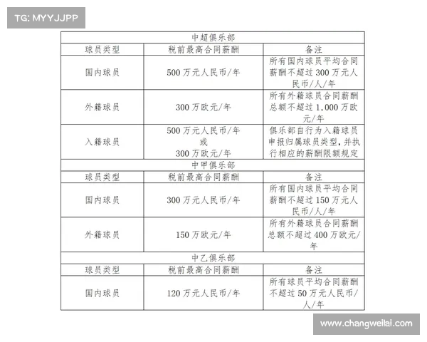 足球俱乐部转会资金使用计划及其优化策略分析与实施方案 足球俱乐部转会资金使用计划及其优化策略分析与实施方案